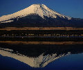 FUJI