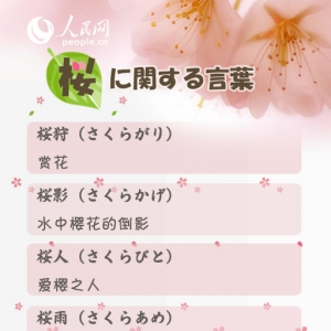 【樱花季】那些与樱花有关的日语