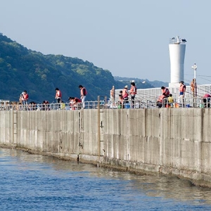 日本支持港湾完善垂钓设施 强化邮轮旅游的体验项目