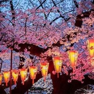 日本在野党动真格的,对安倍晋三展开调查,质疑其滥用公款 ...